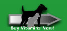 Buy All Natural Vitamins for your puppy or Dog Now!
